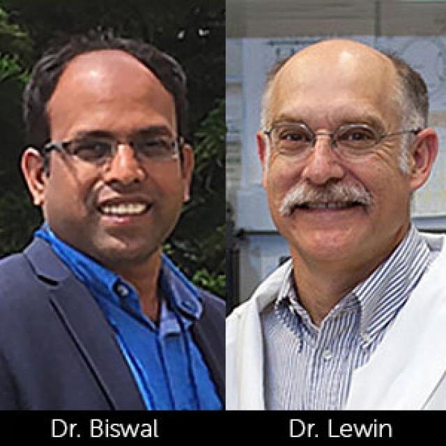 Alred S Lewin, PhD and Manas Biswal, PhD