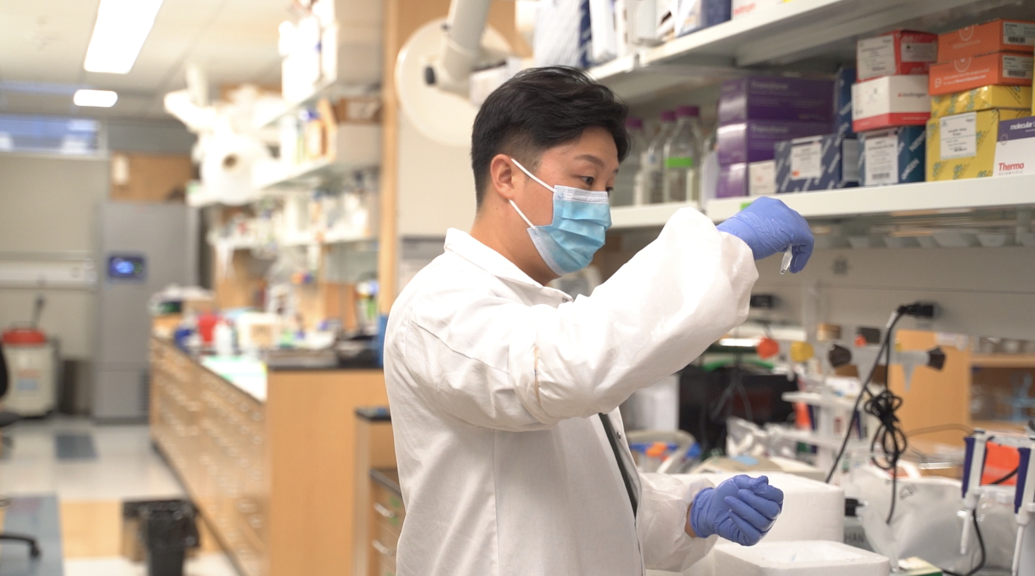 Scientist working in lab.