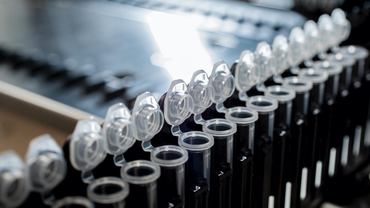 Close-up image of laboratory vials arranged in a row, with open lids, ready for use in scientific research or experiments.