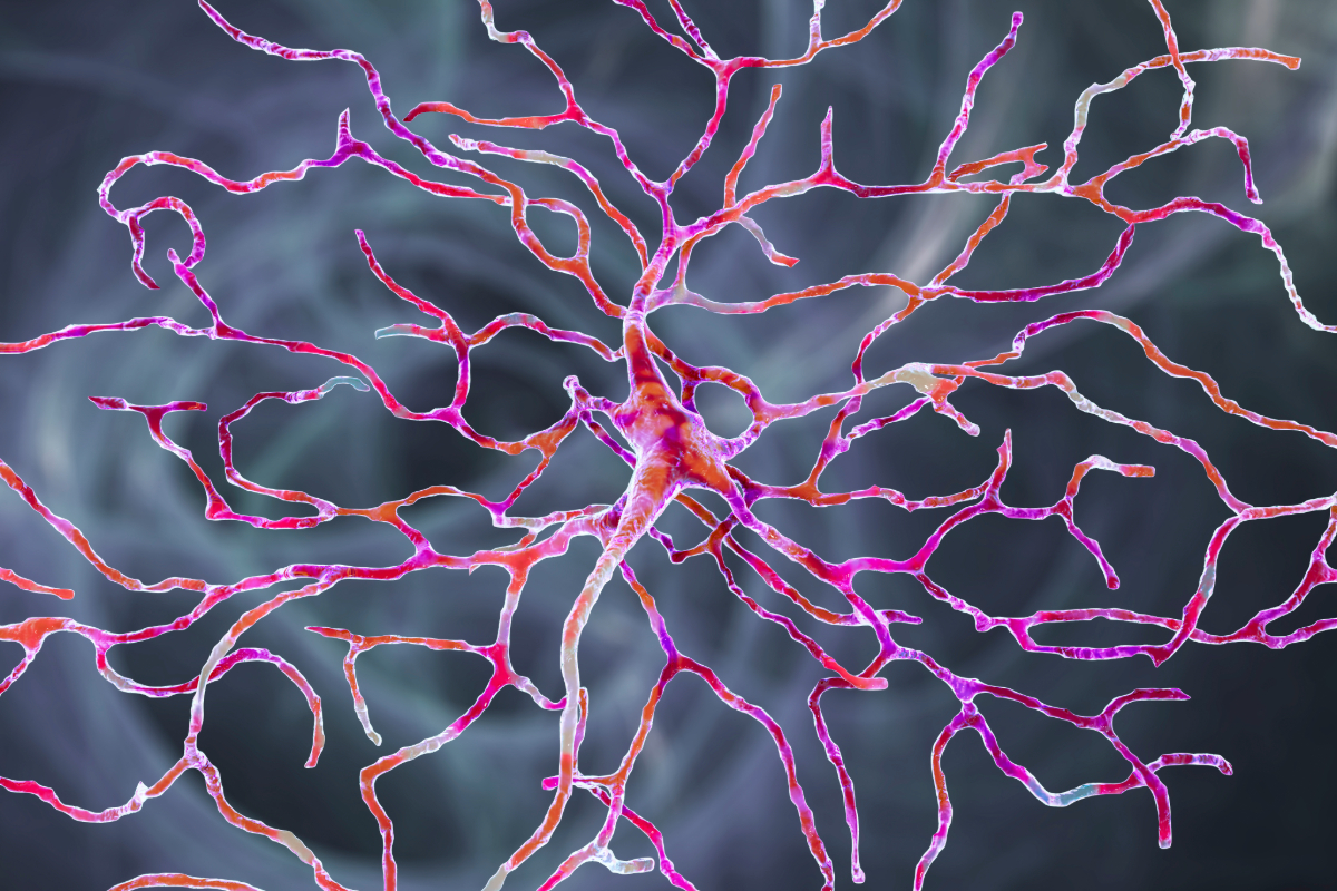 Digital illustration showing a colorful neuron with branching dendrites and axons on a dark background, highlighting neurological structure and function.