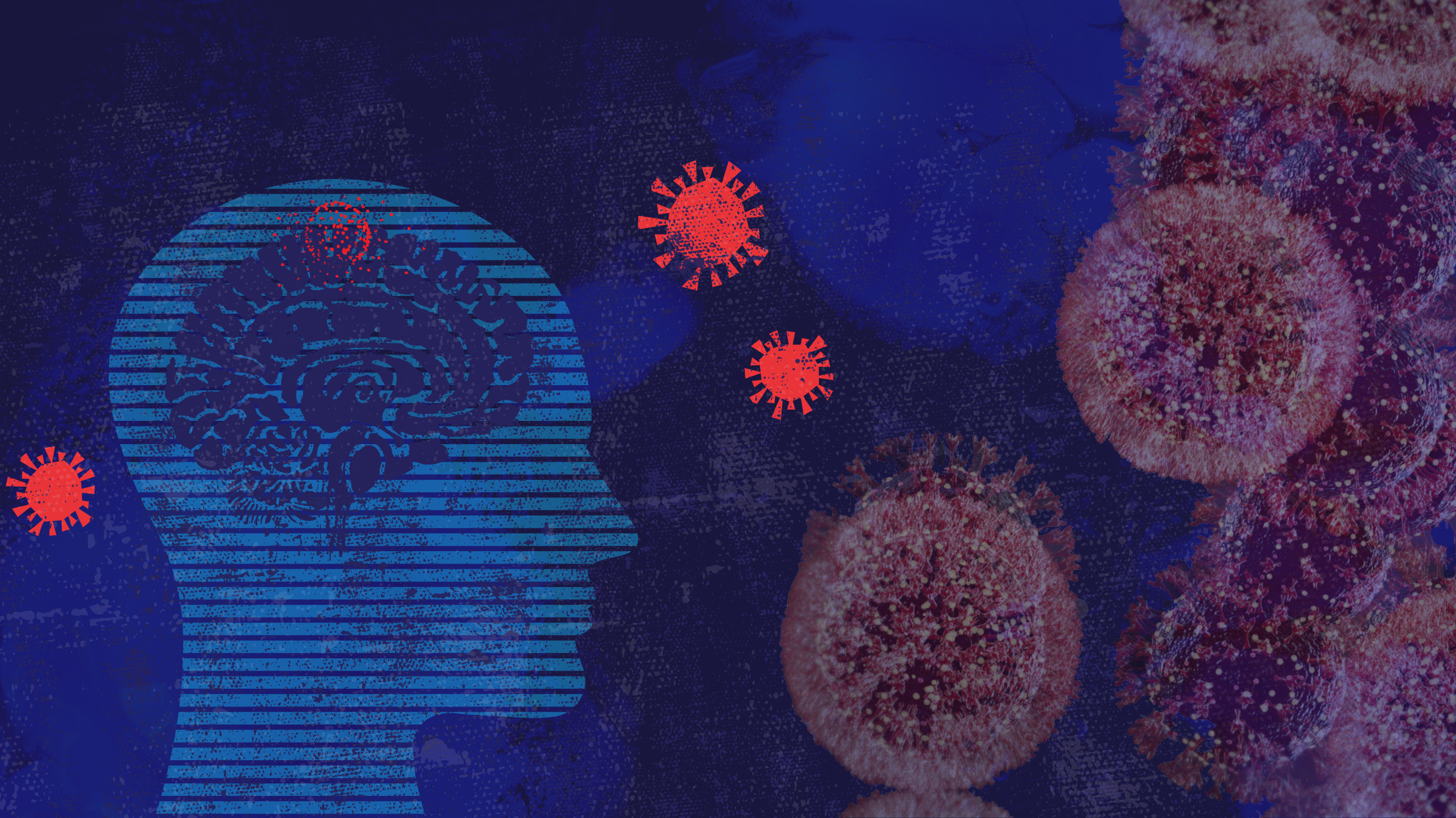 A flat, blue and red drawing of the profile of a human head and shoulders with a brain overlaid in the appropriate space on the left side of the image with the COVID-19 virus scattered throughout the entire image.