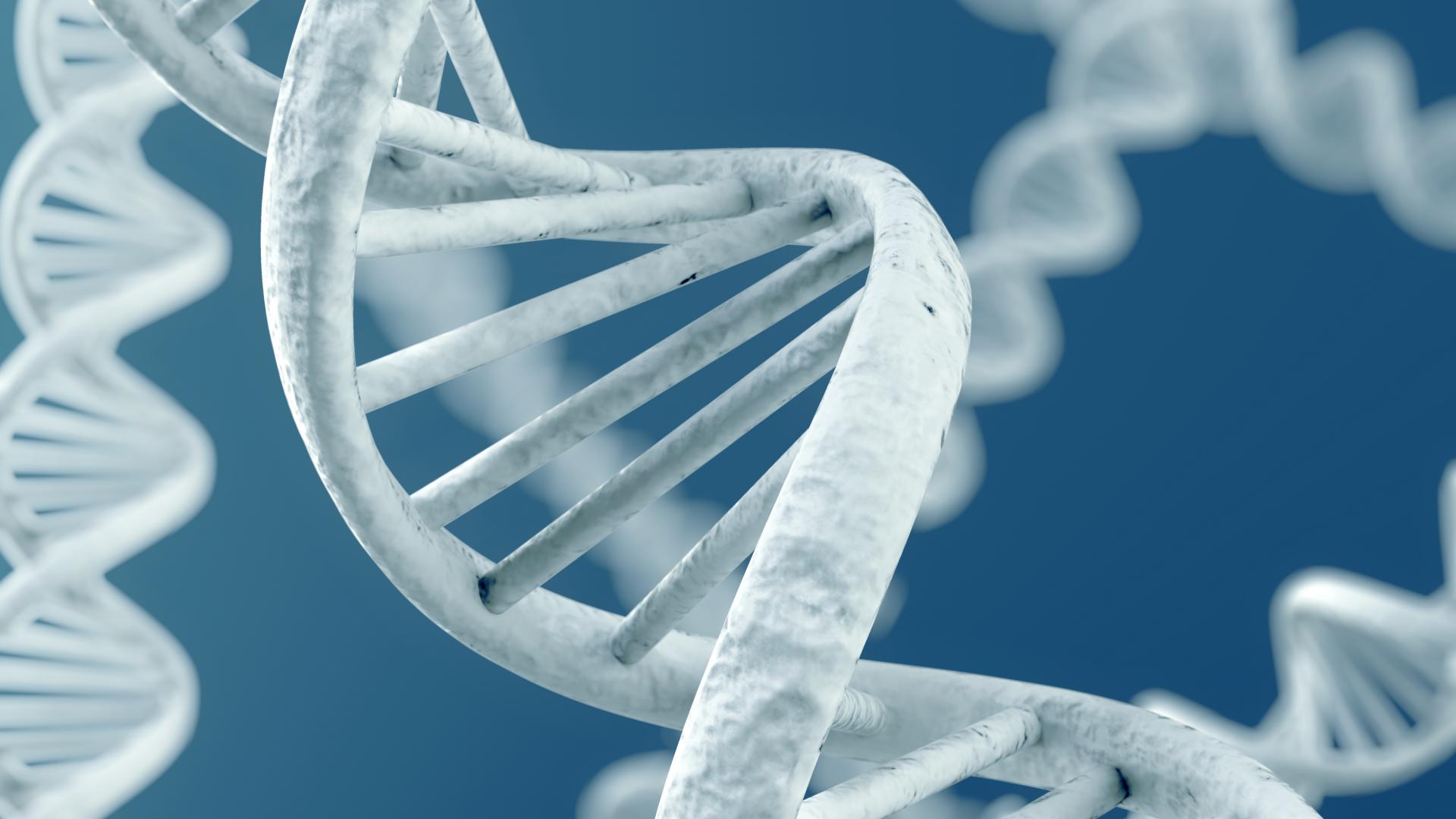 A 3D rendering of DNA against a blue background. All parts of the strands are the same off-white color.