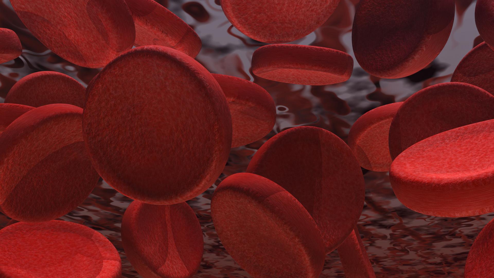 An illustration of blood cells.