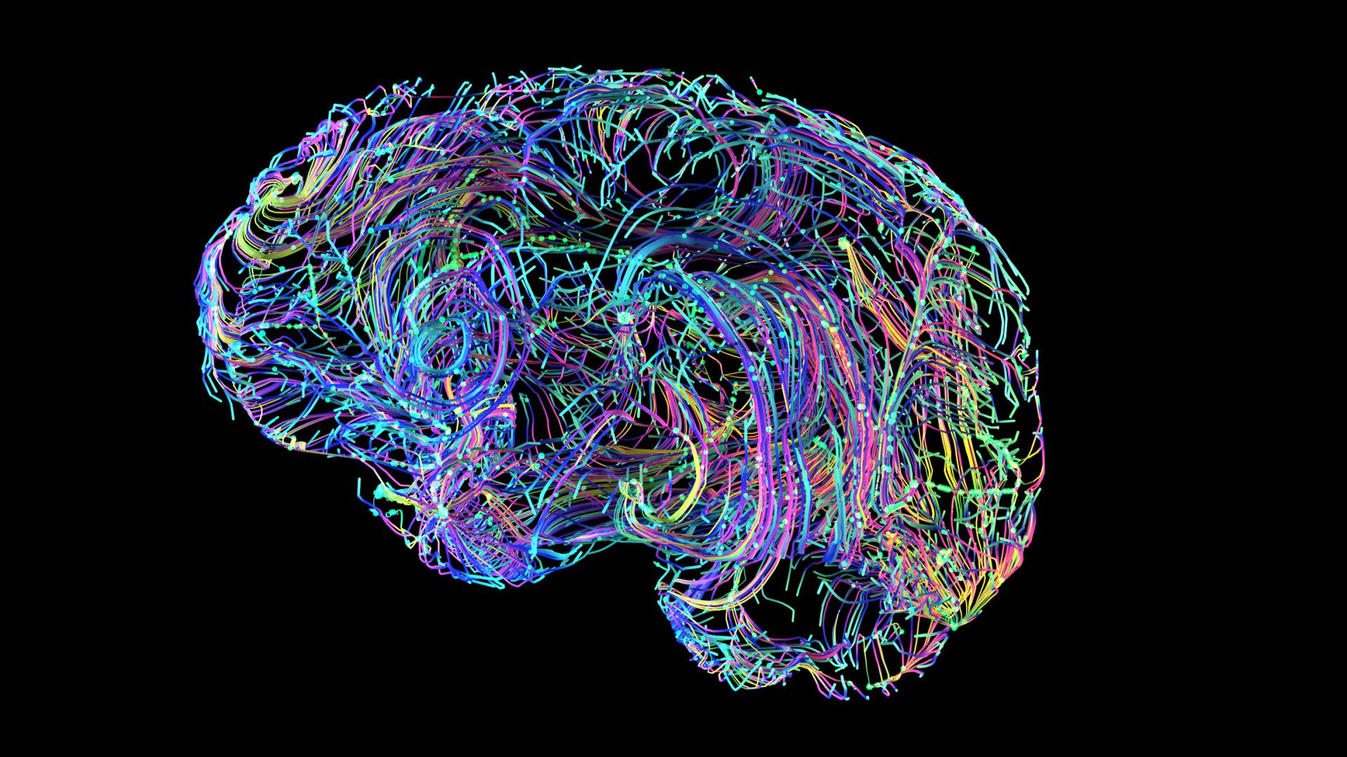 an abstract, multicolored #D drawing for a human brain