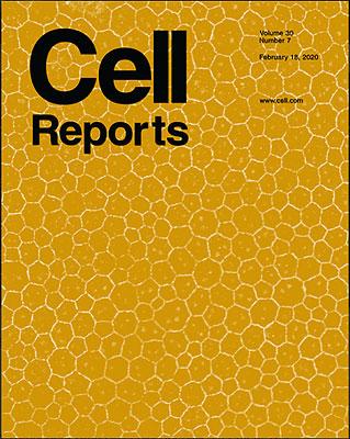 The February 18 issue of Cell Reports featured the BrightFocus-funded work of Sarah Doyle and colleagues on its cover.