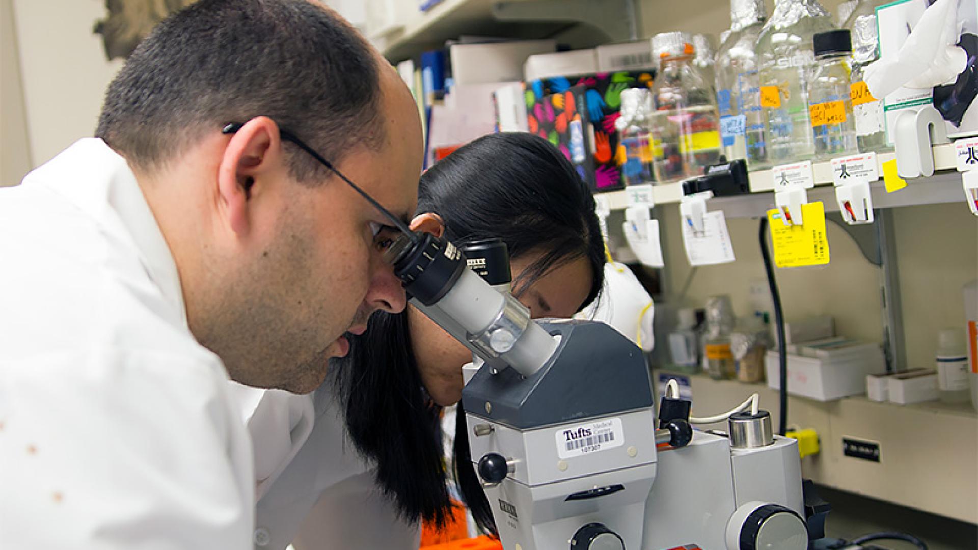 Sheldon Rowan in the lab he shares with Allen Taylor and other colleagues at the Tufts-USDA Human Nutrition Research Center on Aging. Their lab is devoted to studying how nutrition affects age-related vision diseases, including AMD.