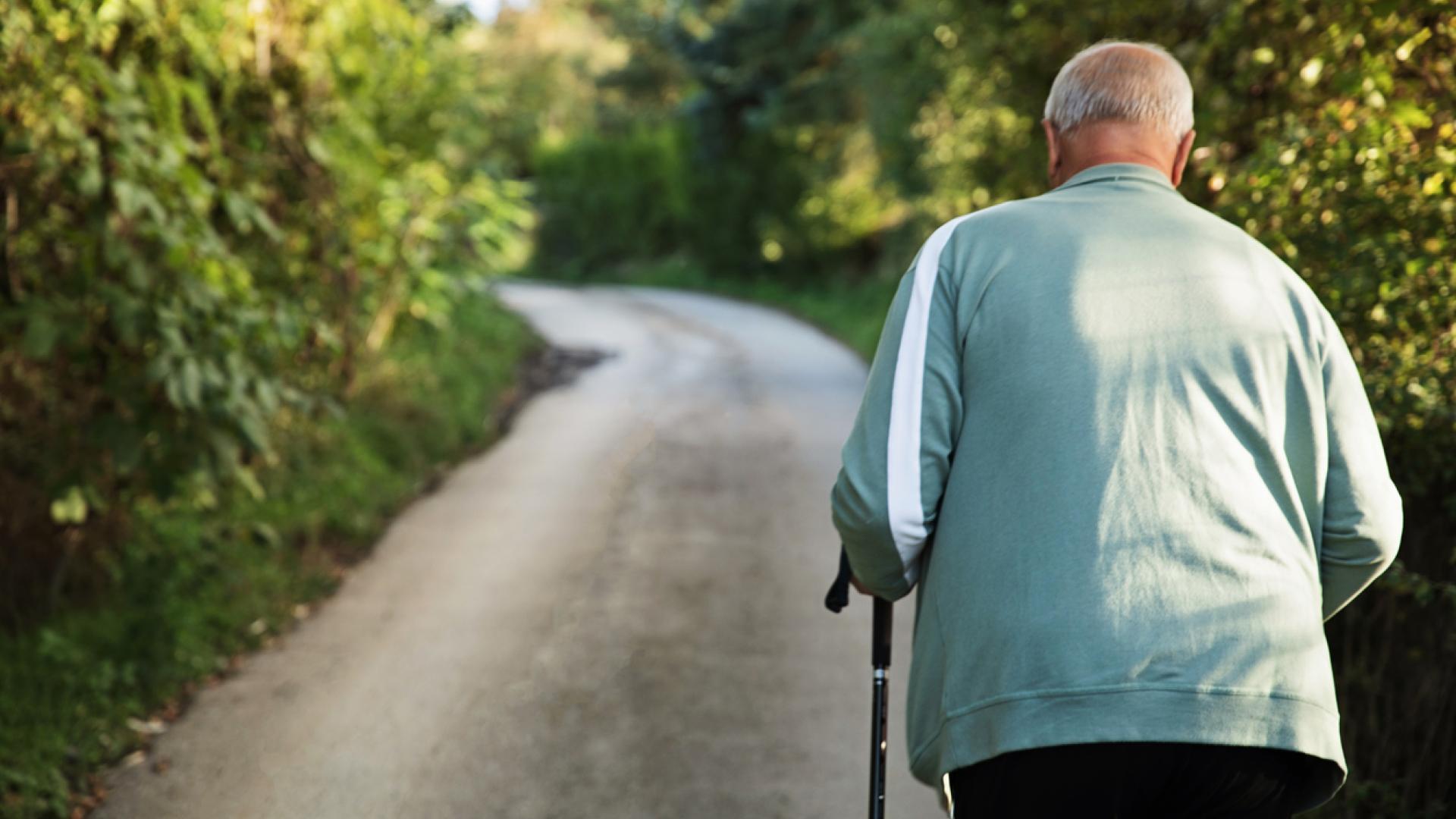 an older man with a walking cane, dressed in athleisure clothes, viewed from behind walking down an unpaved road