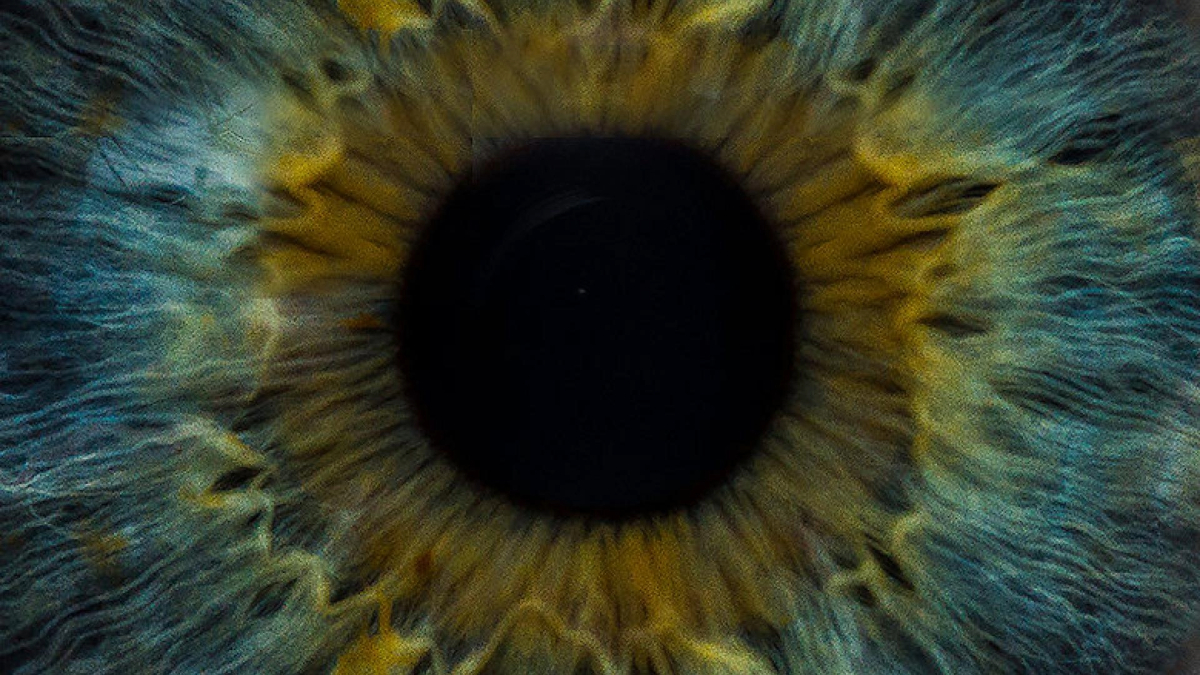 Close-up view of a human iris, showcasing intricate details and vibrant colors ranging from blue to golden brown.