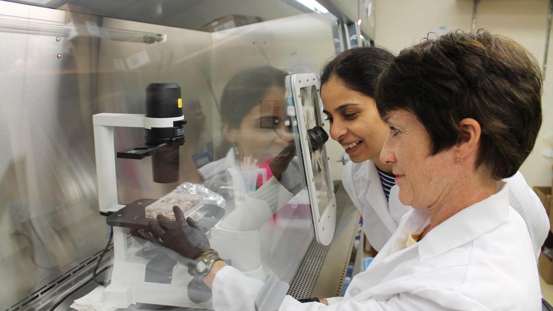 Two female scientists working in lab with microscope inside fume hood.