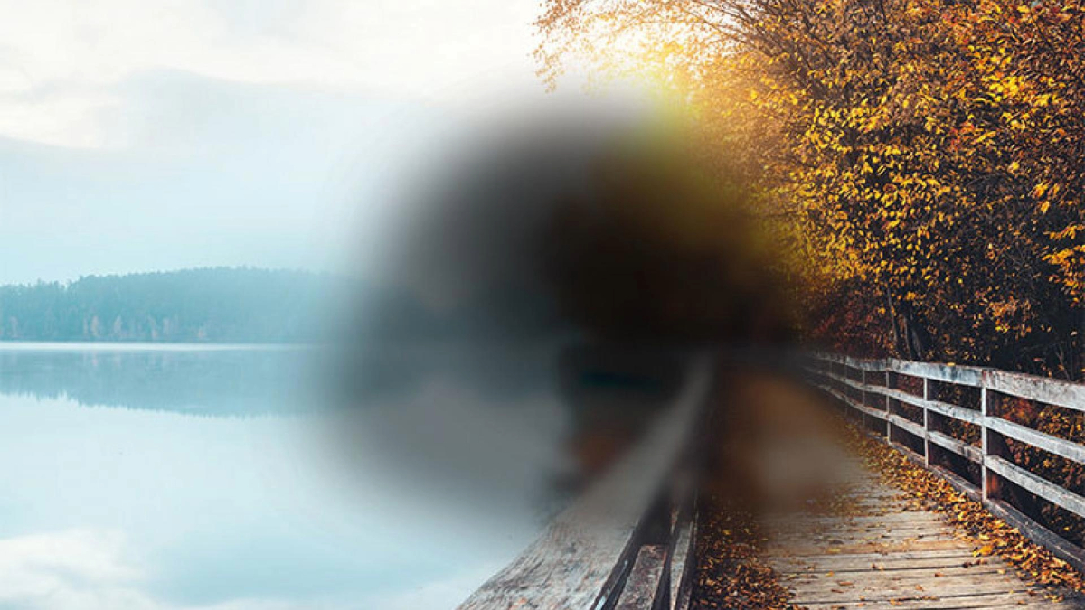 Scenic view of a wooden boardwalk beside a calm lake, lined with colorful autumn trees. The left side of the image is blurred.