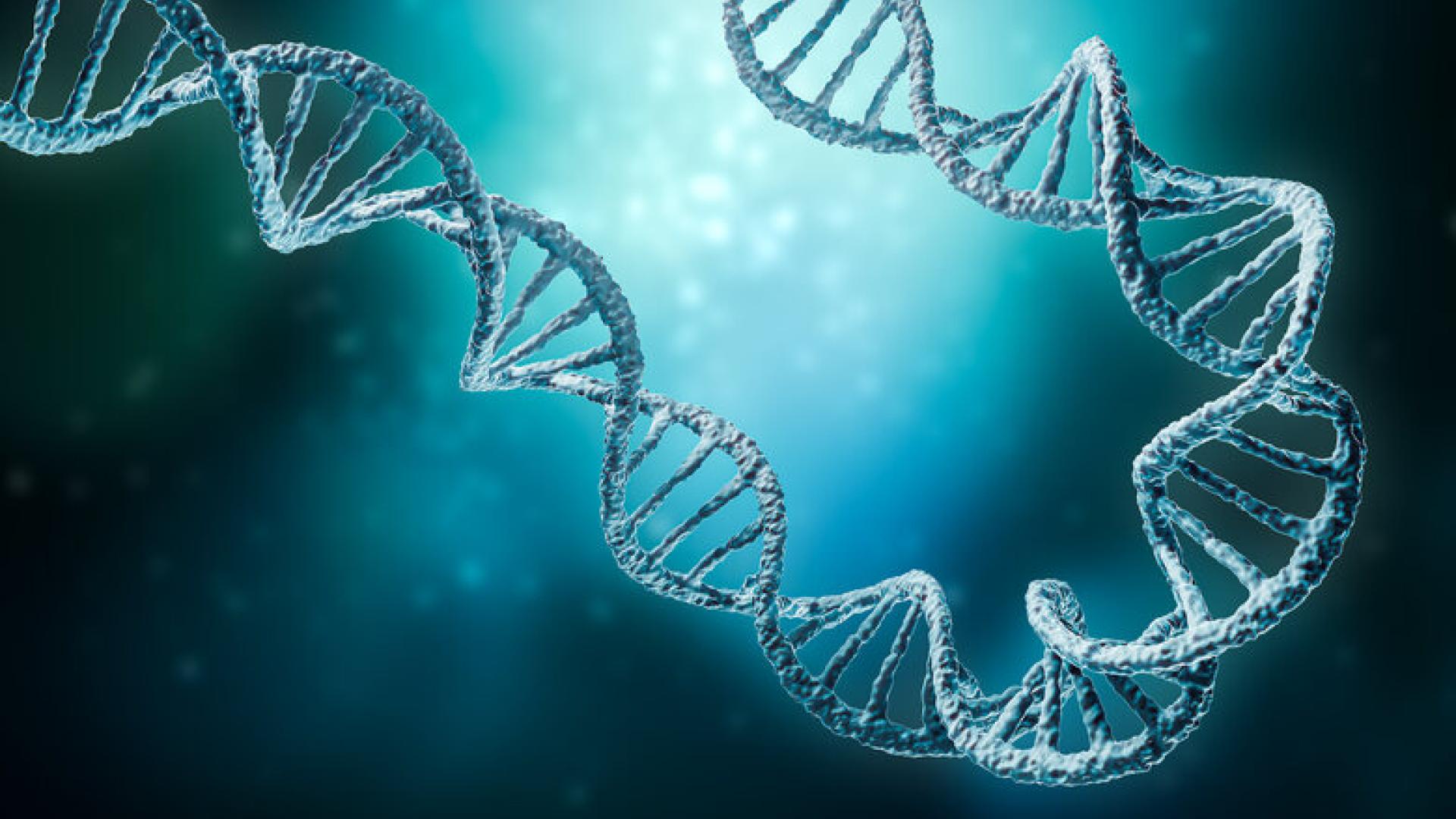 An illustration of a DNA molecule.