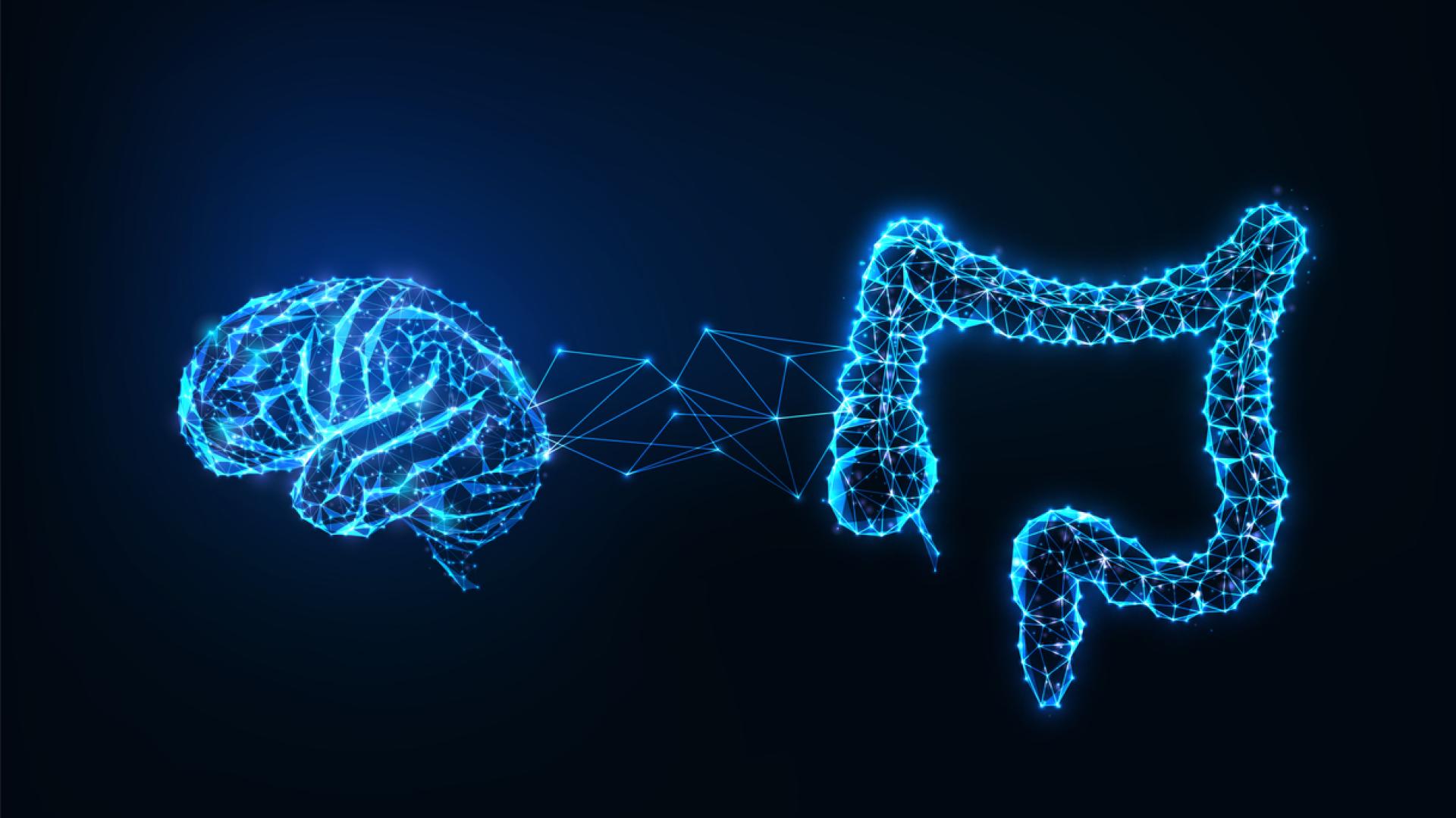 a neon blue 3D outline of a human brain and large intestine connected by thing neon blue lines