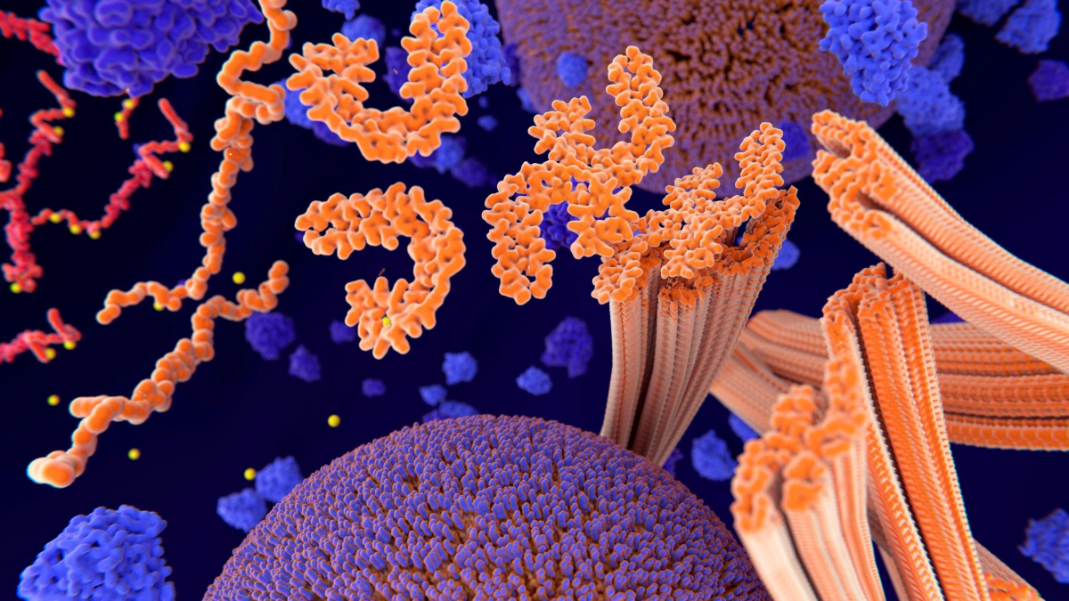 Illustration of tau proteins. Detailed illustration of various biological molecules and proteins, depicted in vibrant orange and blue colors.