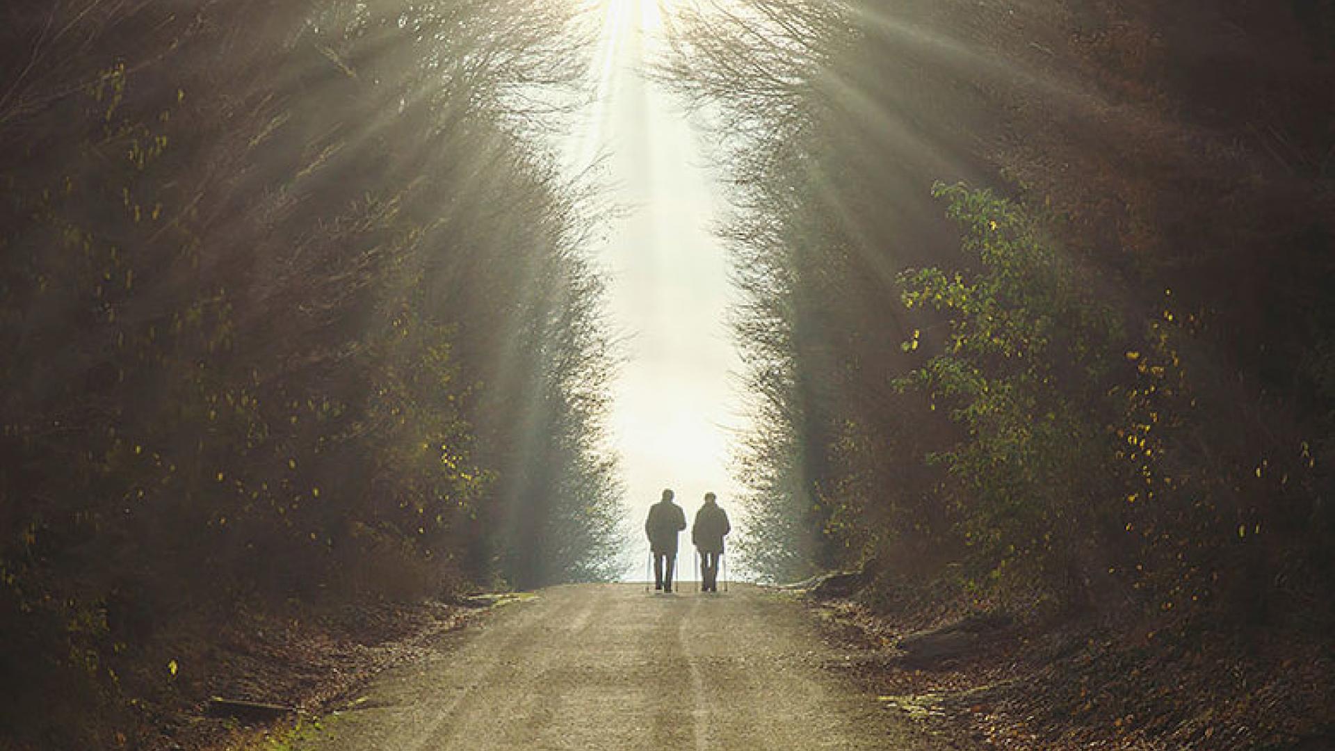 Two elderly people using walkers to walk down a wooded path.