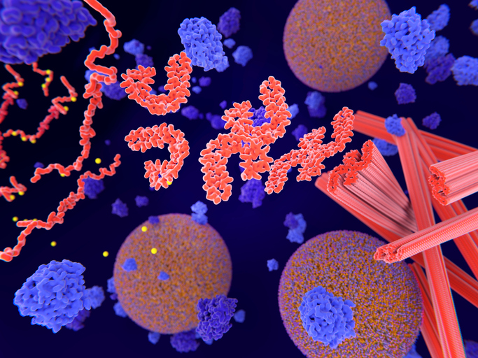 Modified tau proteins (red-orange) lead to disruption of microtubule skeleton and transport of important molecules (orange-violet) inside neurons.