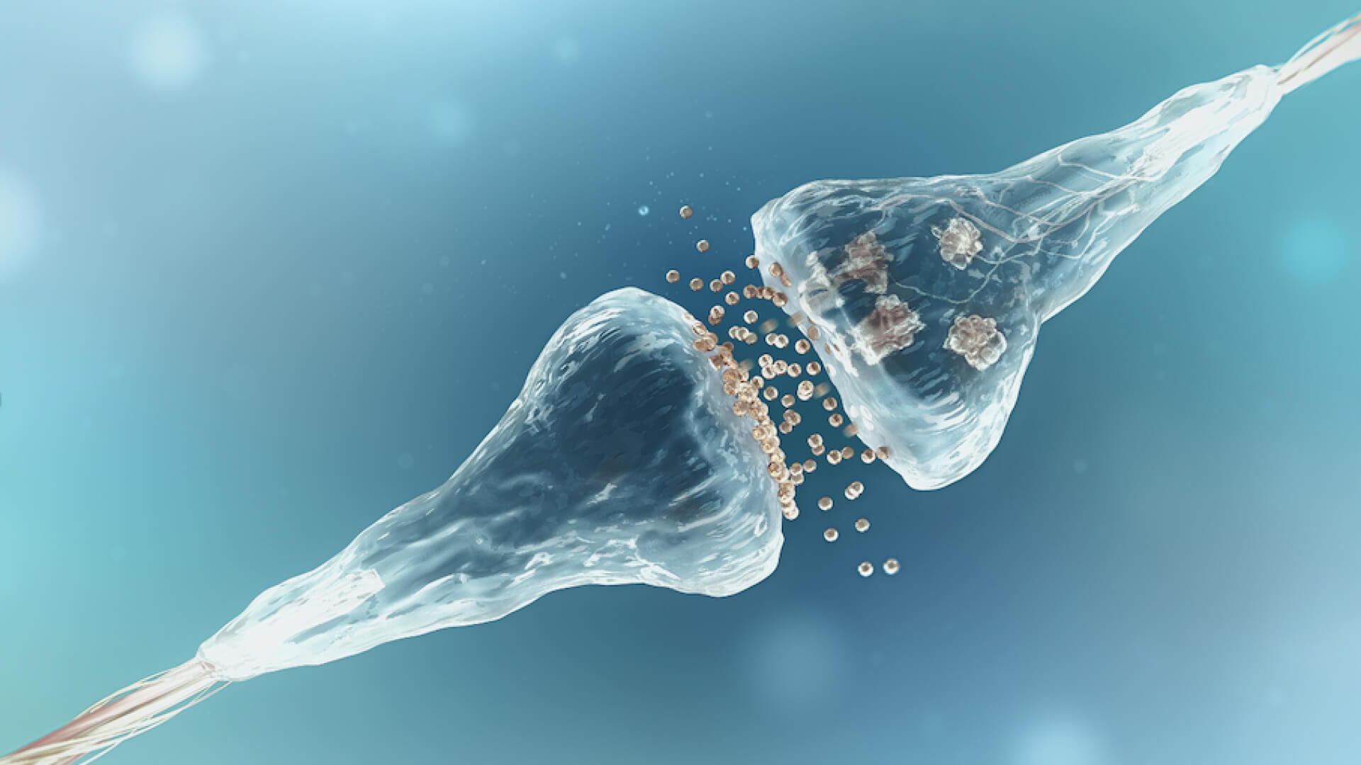 Synapse of neuron cells sending electrical chemical signals.