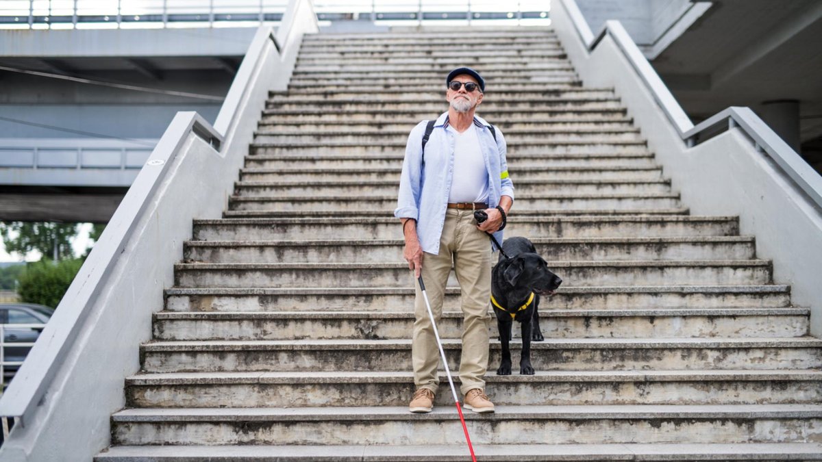 An elderly blind man with a walking cane and a guide dog, descending a flight of stairs outdoors. He is wearing sunglasses and accompanied by his black guide dog.