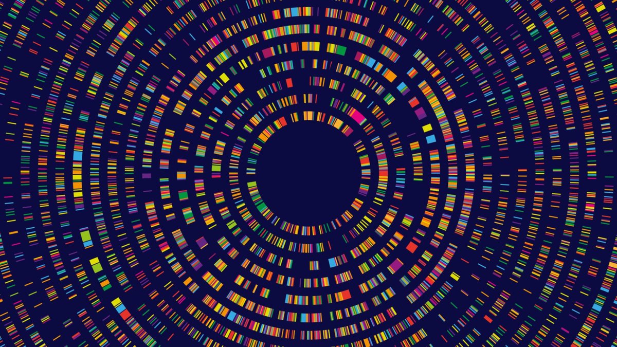 A dynamic illustration featuring an array of multicolored rectangular bars forming circular patterns, representing data visualization in genetic testing for Alzheimer's research.