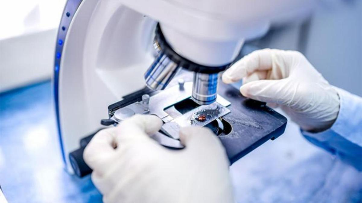 A close-up view of a researcher using a microscope. The person, wearing white gloves, is adjusting a glass slide with a specimen under the microscope's lens