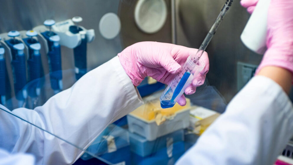 A person wearing a lab coat and pink gloves using a pipette to transfer a blue liquid into a test tube in a scientific research laboratory.