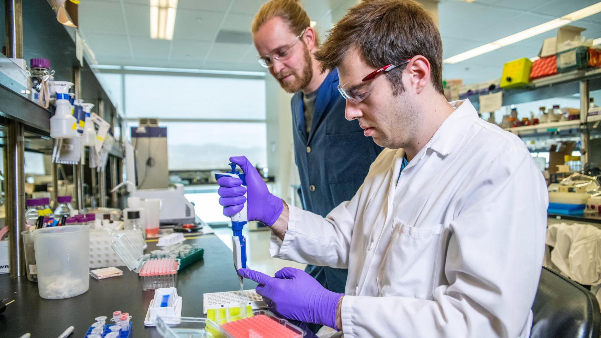 Researchers working in a lab.