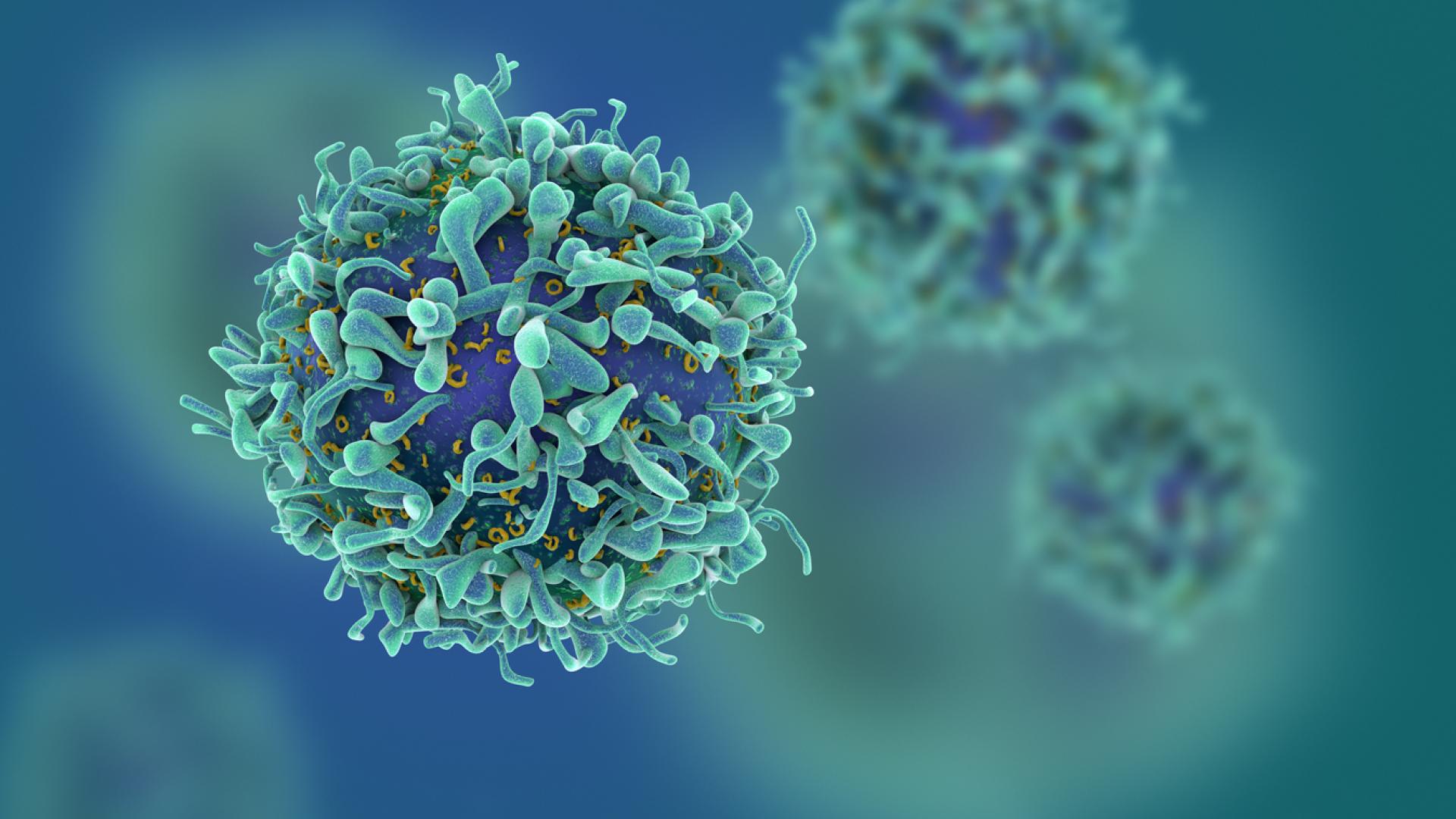 A digital rendering of a T-cell—one of the immune cells to show epigenetic, or non-inherited, changes in Alzheimer’s disease.