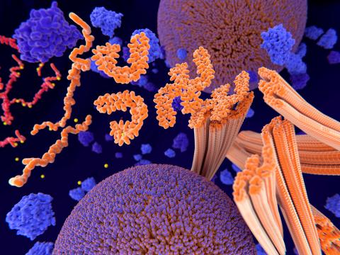 An illustration of Tau proteins (red-orange).