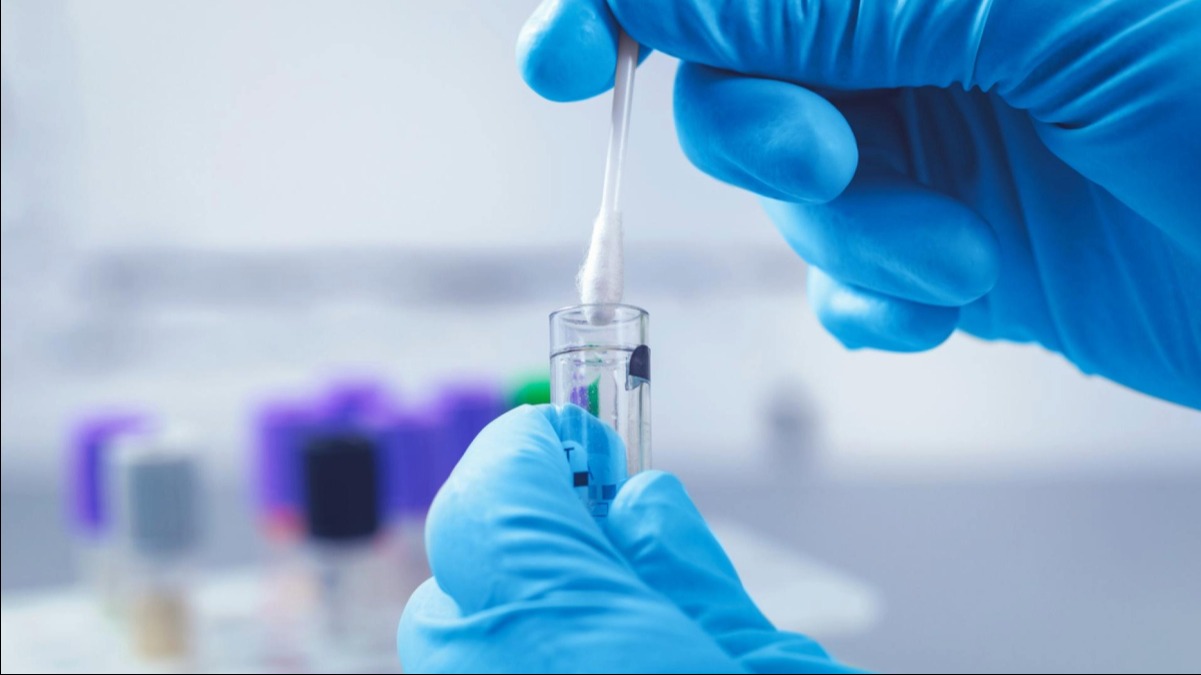 Person in blue gloves conducting an experiment using a pipette and test tube in a laboratory setting.