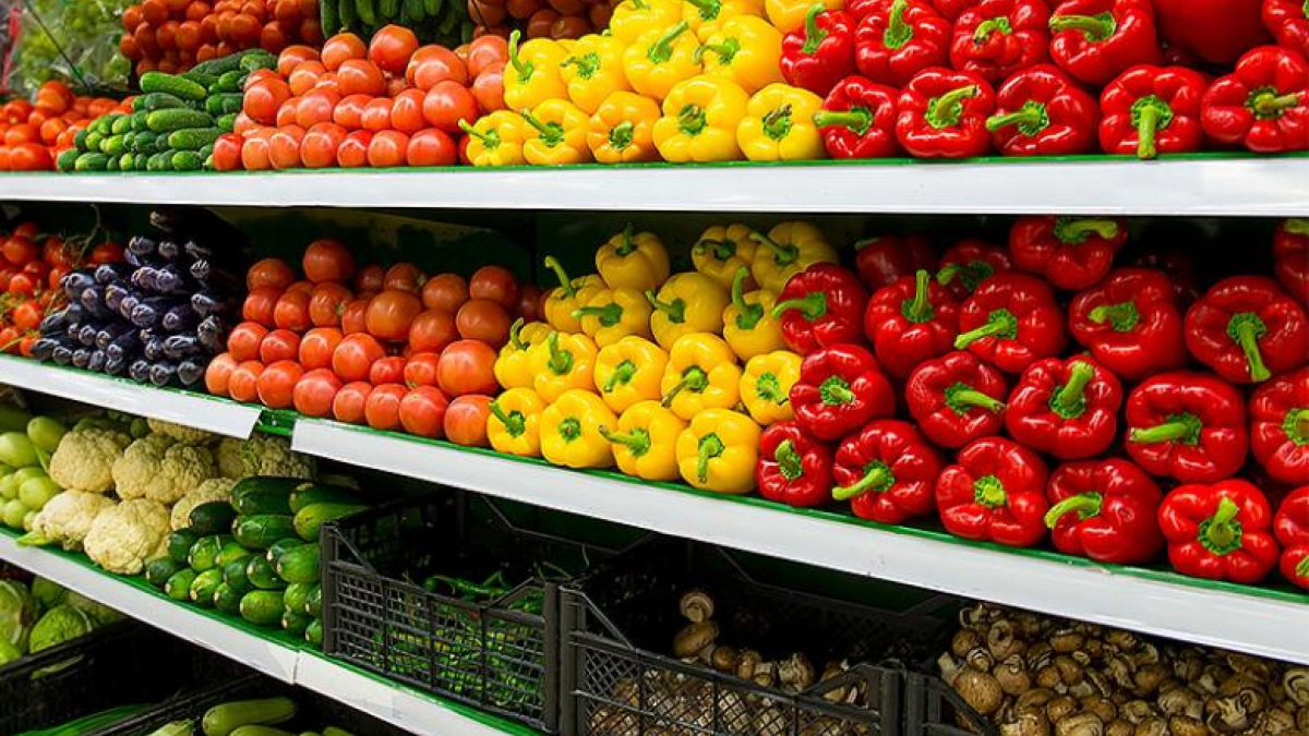 Colorful display of various fresh vegetables, including tomatoes, bell peppers, cucumbers, and root vegetables, neatly arranged on shelves in a grocery store.