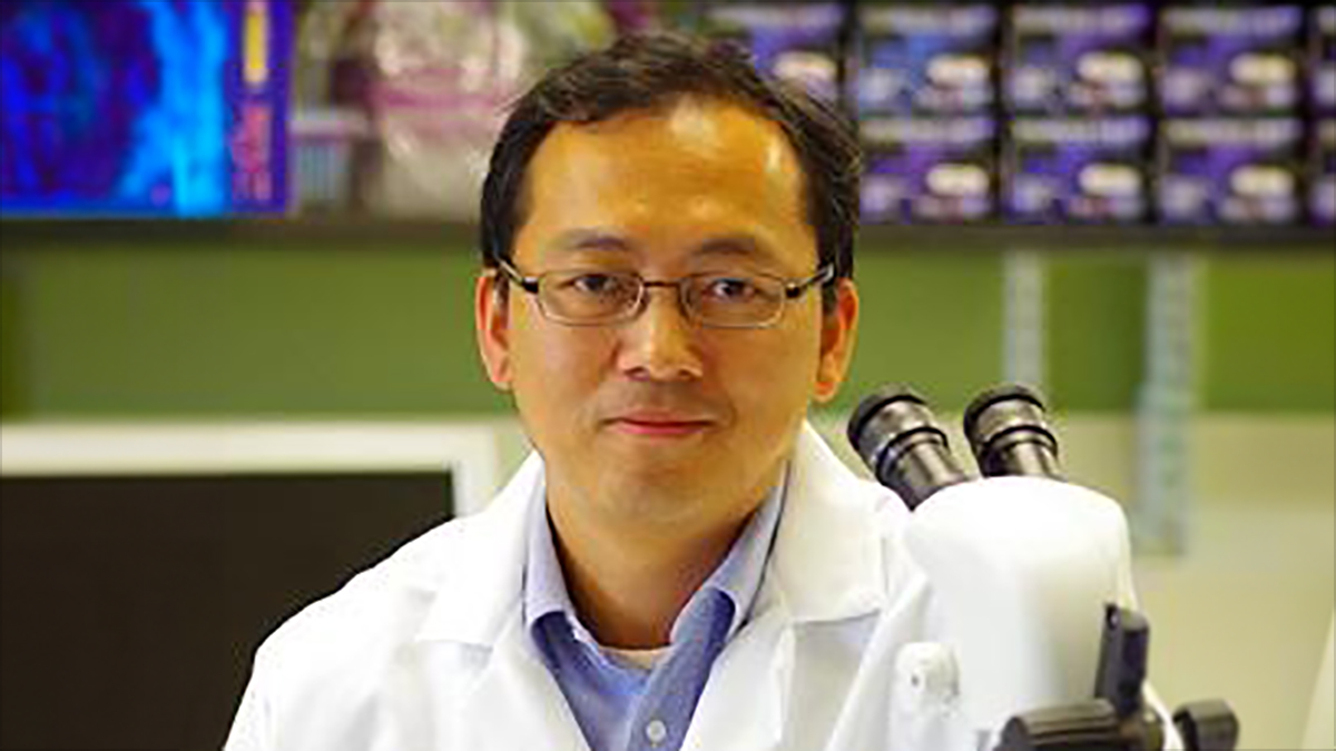 Yang Hu, MD, PhD