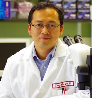 Yang Hu, MD, PhD