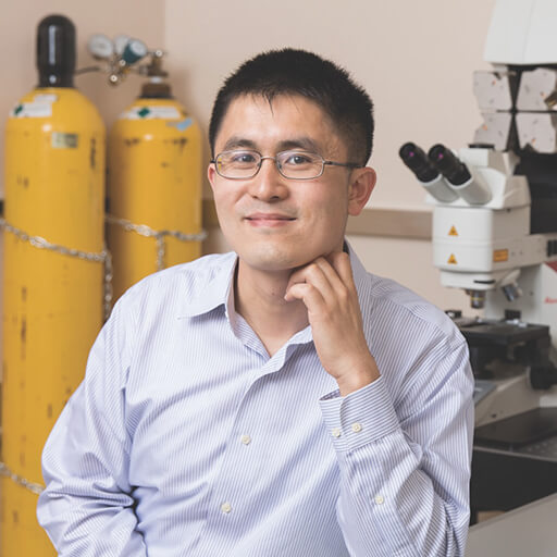 Xin Duan, PhD