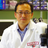 Yang Hu, MD, PhD