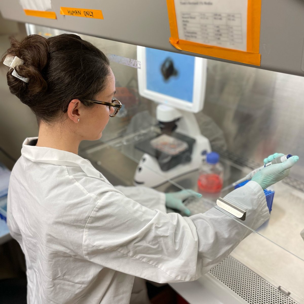 Female researcher in the lab.