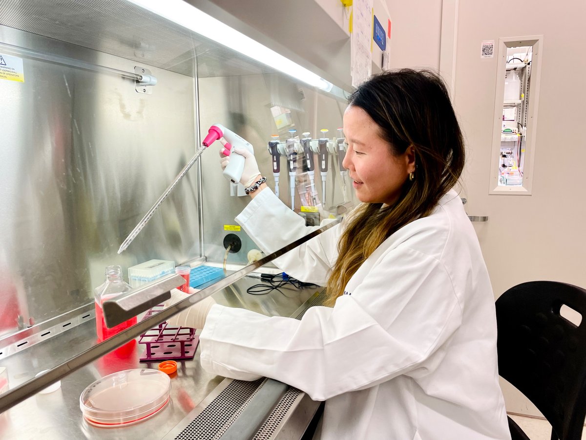 Scientist conducting cell culture experiment in the lab.