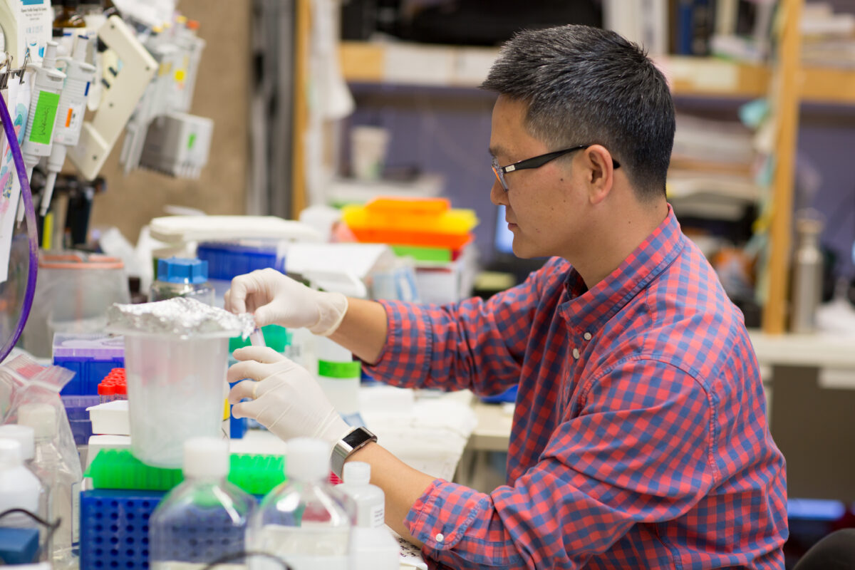 Male researcher in the lab.