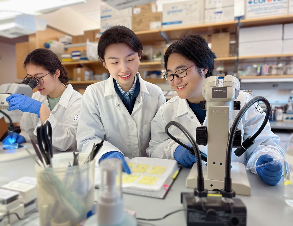 Female scientists in the lab.