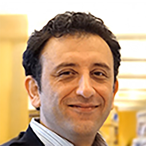 a headshot of Behzad Gerami-Naini, PhD