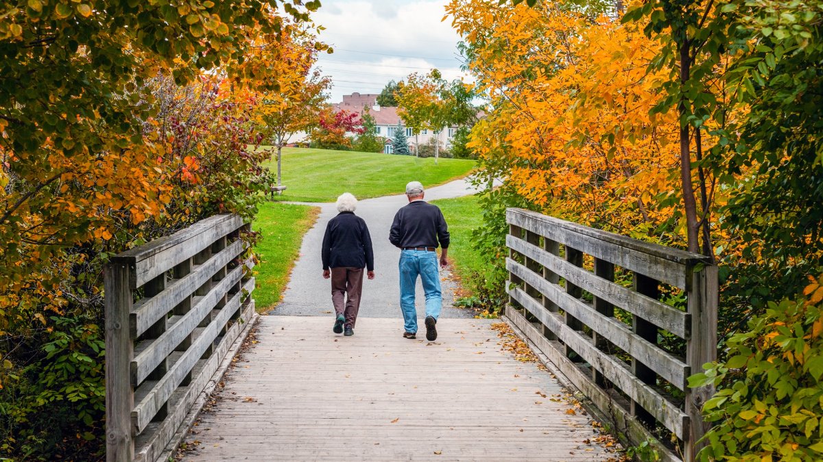 Elderly couple walking over old wooden bridge in park in autumn season.