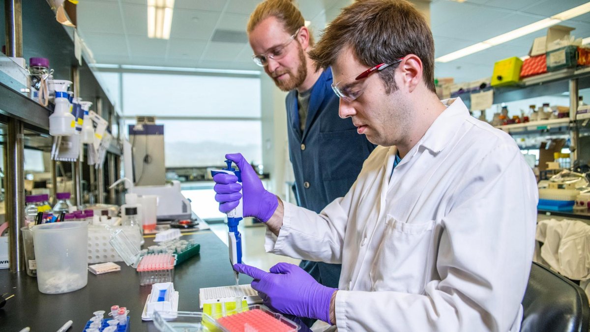 A male researcher in the lab